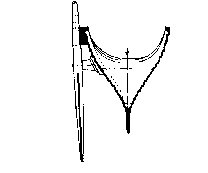 Section detail of oar of Viking ship Gokstad